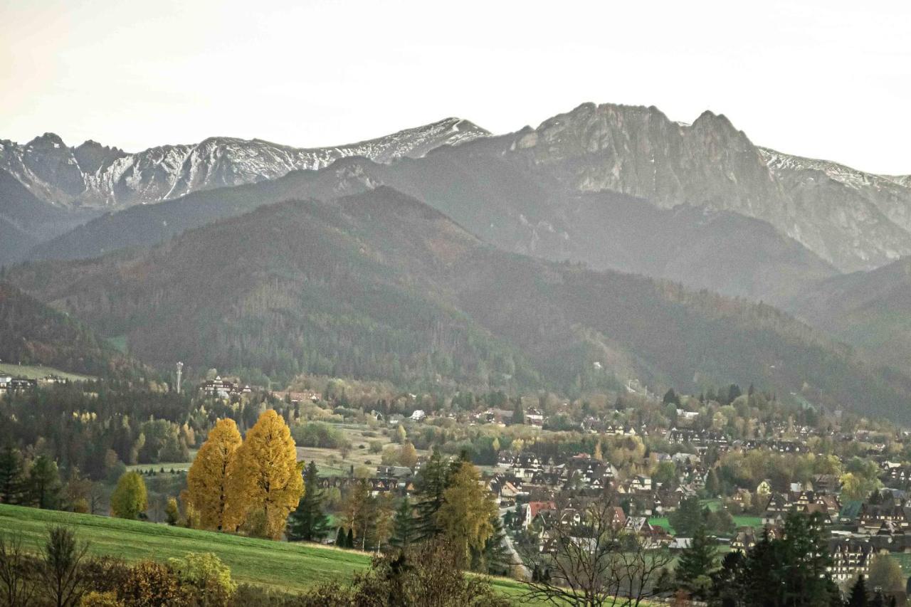 Willa Grg Zakopane Esterno foto