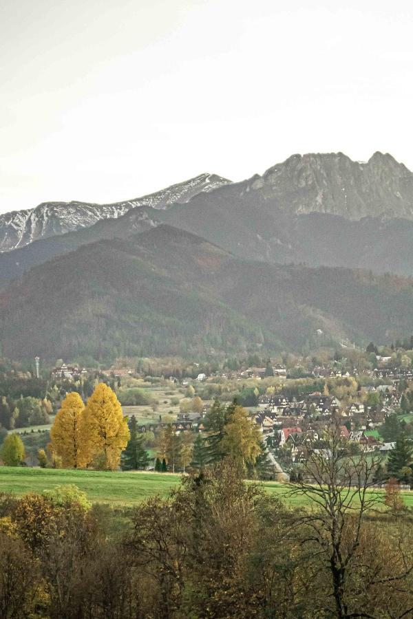 Willa Grg Zakopane Esterno foto